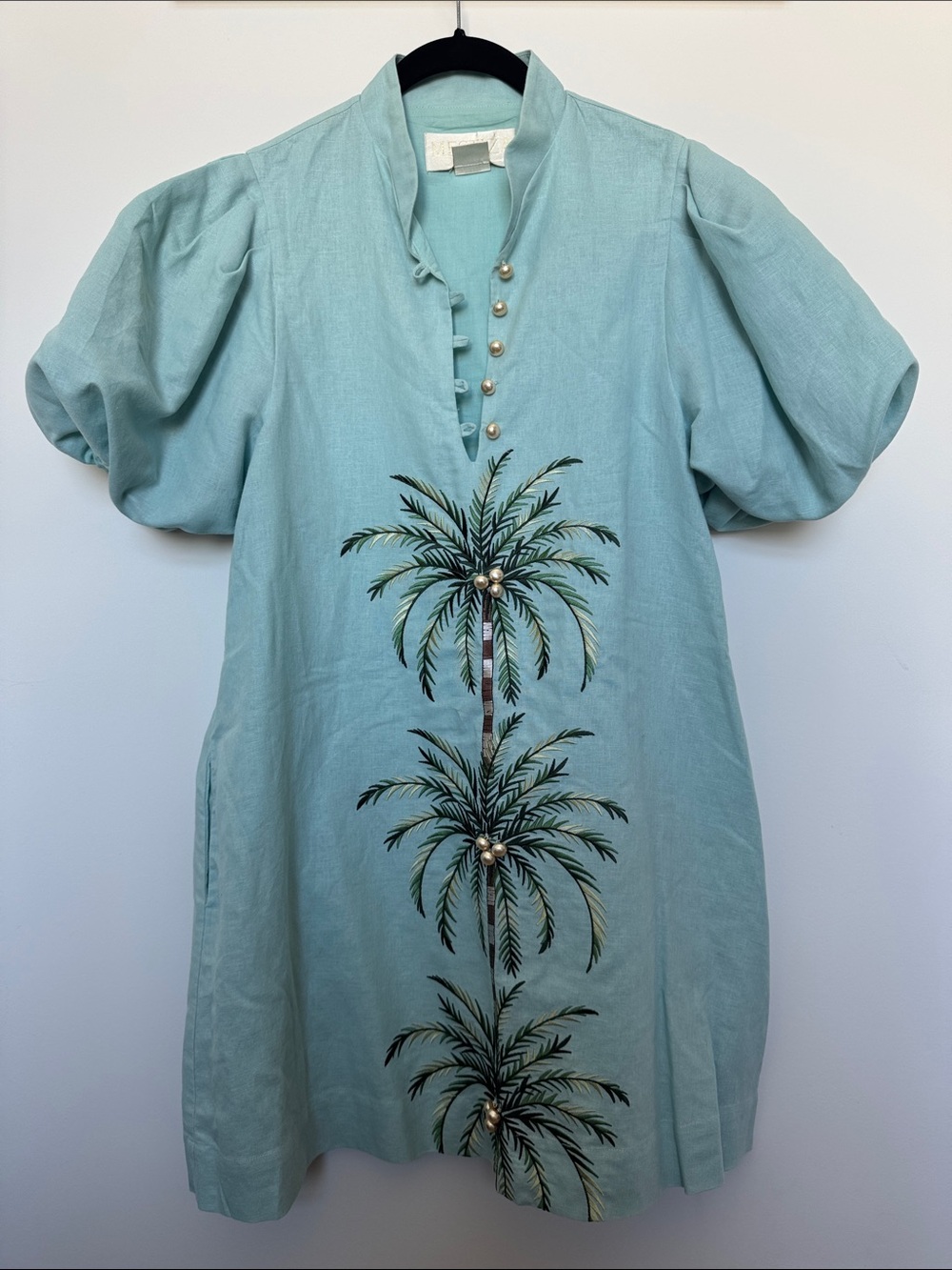 Aqua Embroidered Palm Puff-Sleeve Mini Dress